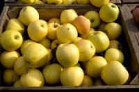 Asda To Store Apples In Mountains To Reduce C02 Emissions