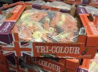 UK carrot market quiet but looking positive