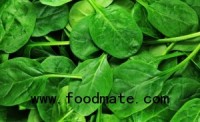 Federal and State Investigators Look into Spinach Recall