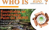 Greenpeace urges food companies to check palm oil suppliers' sustainability score