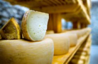 Cholesterol-low cheese ‘highly suited’ for hypertension sufferers - developer