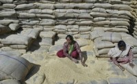 Indian cabinet approves food security bill