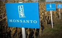 Monsanto wins patent battle with DuPont corporation to seize full rights of GM seed patents