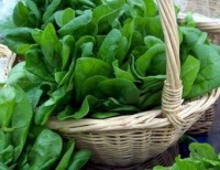 Leafy vegetables could help against cataracts