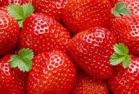 Strawberries provide outstanding protective benefit against cancer, diabetes and more