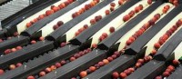 Compac releases stonefruit defect sorting with new InVision System