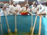 Mexico produced the world's largest guacamole