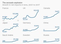China and the great international avocado takeover