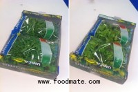 New packing line for UnicaVera-products W.de Mooij