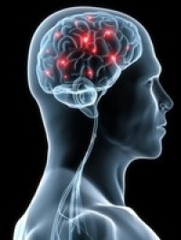 Vitamin C and beta-carotene suggested to combat dementia