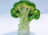 Japanese chef hand-carves intricate patterns into fruit and vegetables