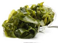 Seaweed Energy Solutions makes acquisition to cultivate 100,000 tons of seaweed