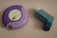 Could supplements in baby’s formula prevent allergies and asthma?