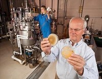 New, cost-cutting approach to formulating pest-killing fungi