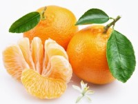 Seven power foods that lower your stroke risk
