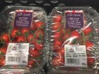 Solid start for Delisher cherry plum tomato