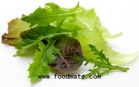 How to determine vitamins content in green leafy fresh-cut vegetables